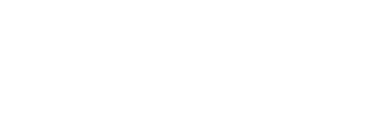 HOLLYLAND